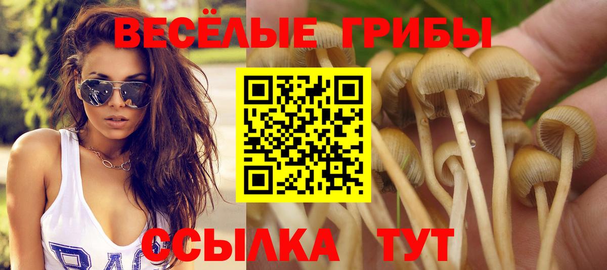 Заречный  Псилоцибиновые грибы Psilocybine cubensis  Вход с VPN 